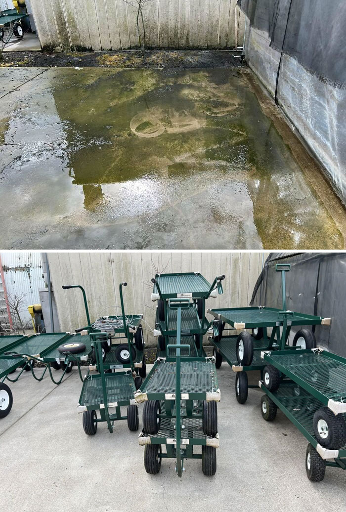 Forgot To Get An After Picture Before Putting Carts Back