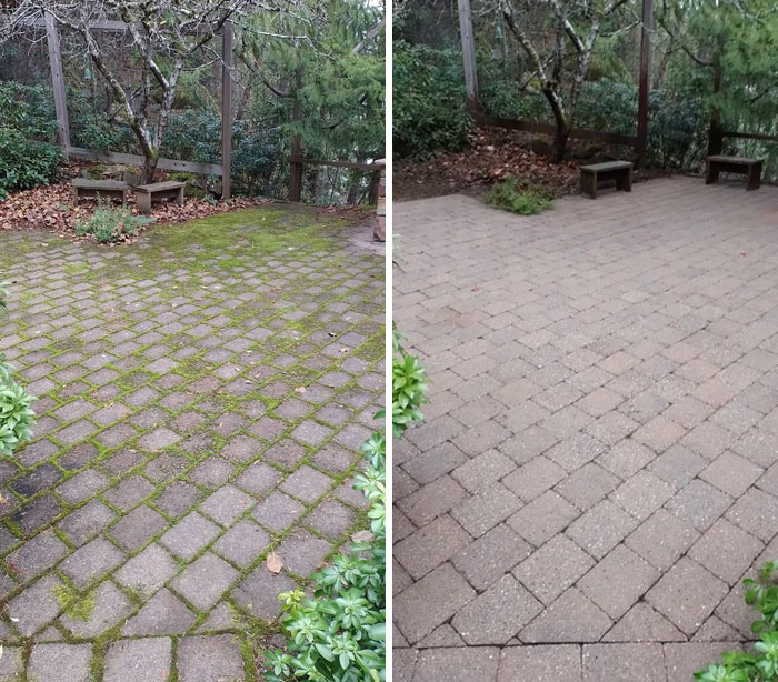 Bye Bye Patio Moss