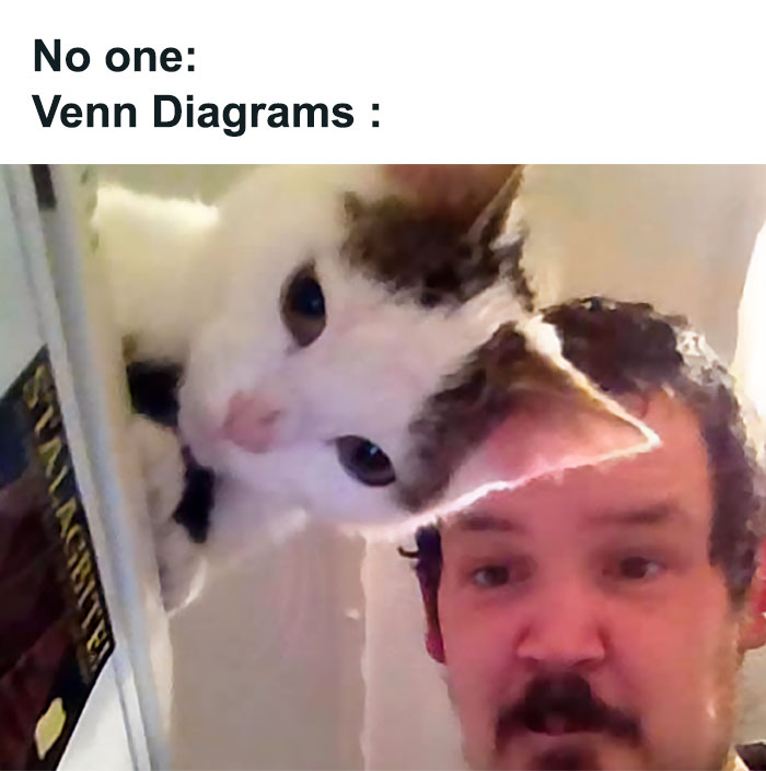 Cat and man close together with text humor about Venn diagrams, illustrating one of the best science memes online.