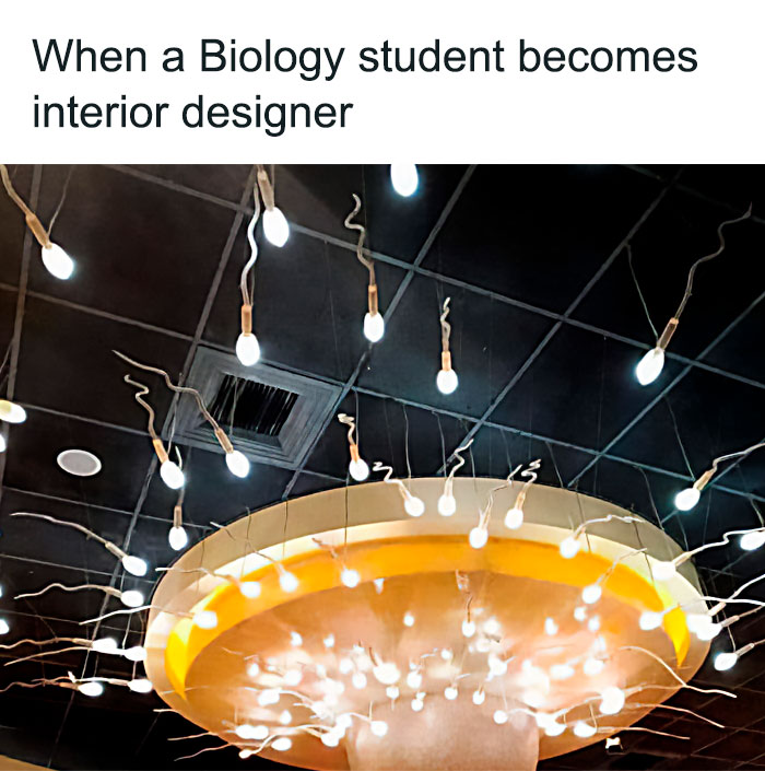 Creative science meme showing a ceiling light fixture with s***m-shaped bulbs, linking biology and interior design humor.