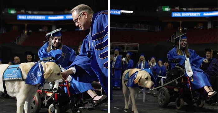 Video Showing A Service Dog Receiving A Diploma Alongside Owner With Disability Wins The Internet’s Hearts