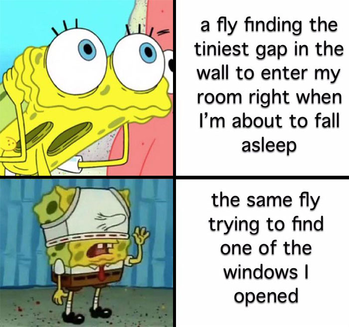 A SpongeBob meme with two panels comparing a fly's behavior. The top panel shows a wide-eyed, shocked SpongeBob with the text, "A fly finding the tiniest gap in the wall to enter my room right when I'm about to fall asleep," illustrating the fly's uncanny ability to find its way inside at the most inconvenient time. The bottom panel shows SpongeBob looking frustrated and confused, wearing a headband with a drooping expression, labeled "The same fly trying to find one of the windows I opened," humorously highlighting the irony of a fly being unable to find its way out despite multiple exits.