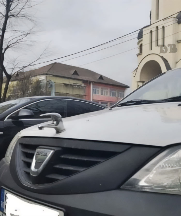 Jaguar After One Week In Romania