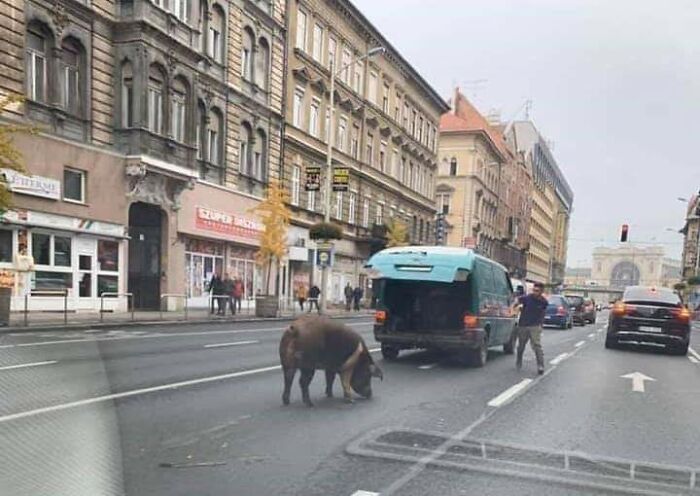 "Hungary Is Not A Slavic Country"