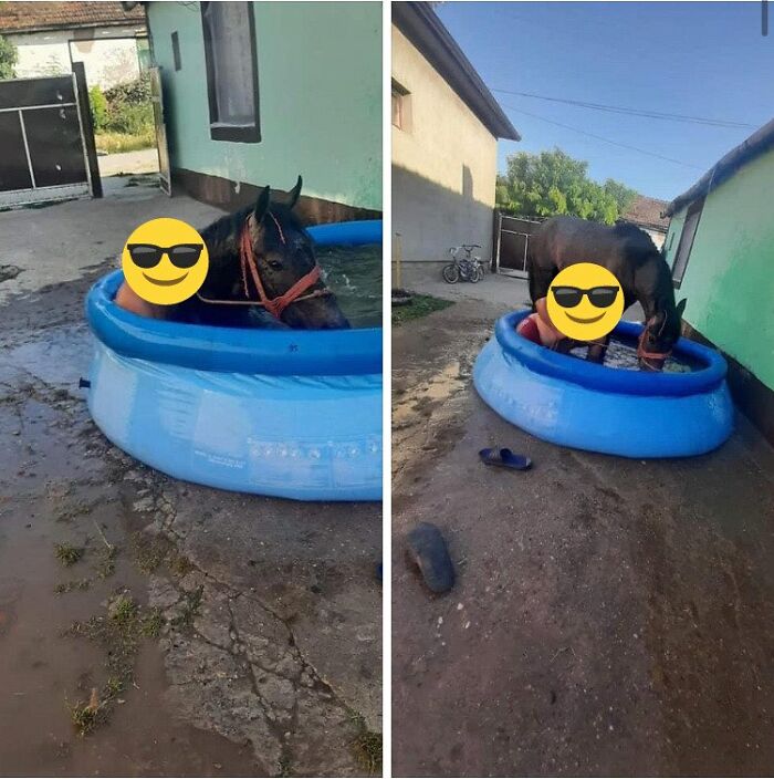 “Hungary Is Not A Slavic Country”