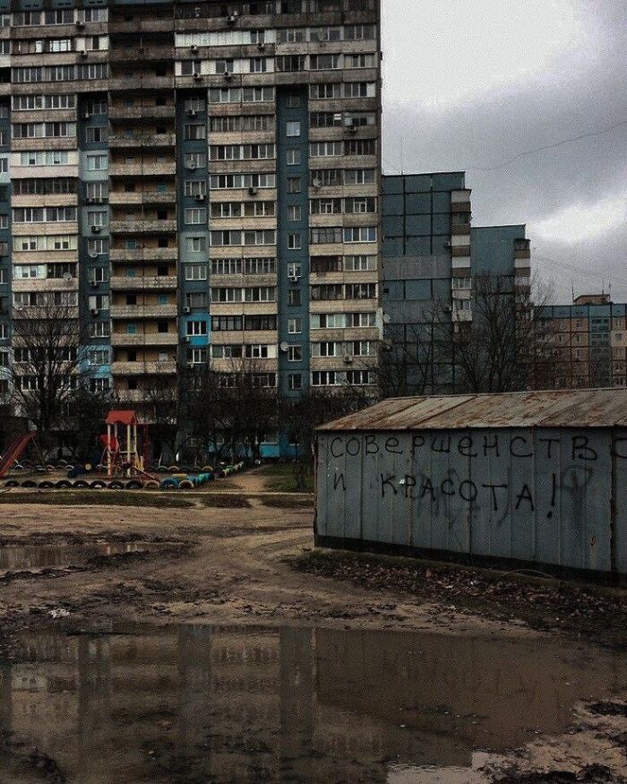 Perfection And Beauty