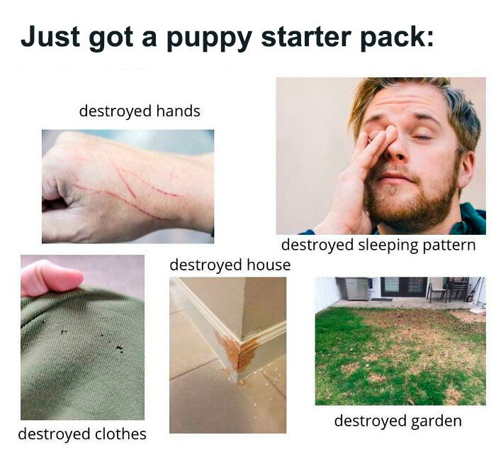 Just Got A Puppy Starter Pack