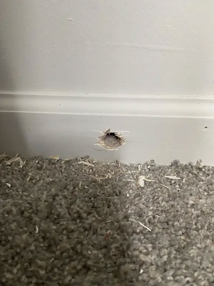 Woke Up This Morning And Noticed A Very Poorly Patched Hole Drilled From The Outside Of My Apartment Building Into My Bedroom