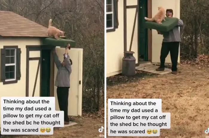 Sweet-Family-Moments