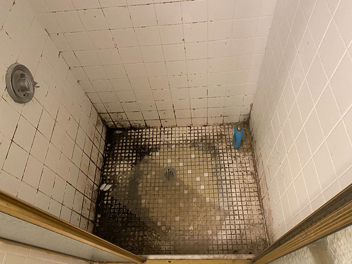 My Friend Just Moved Into A New Apartment. Landlord Claims It Was “Professionally Cleaned”