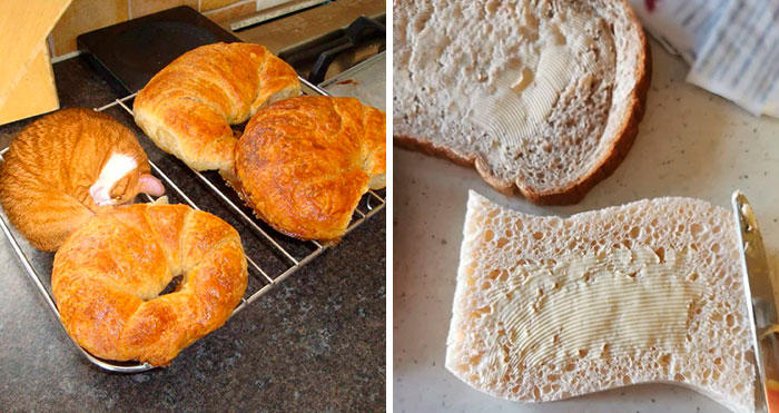 50 Delicious-Looking ‘Foods’ You Should Never Ever Eat (New Pics)