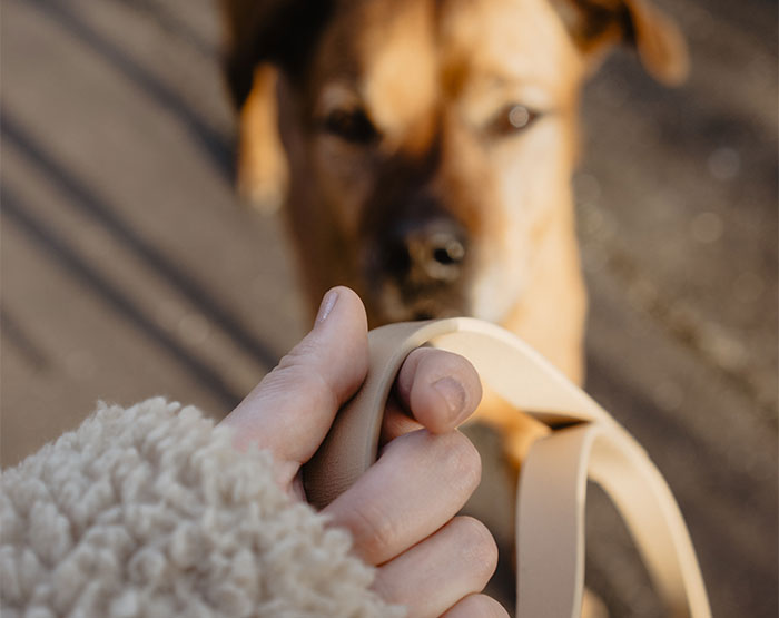 Someone Asks "What Is Something That Your Parents Did That You Will Never Forgive Them For?" And 35 People Deliver Heartbreaking And Honest Answers