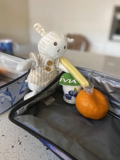 Wholesome Story Of A Dad Taking His Daughter&rsquo;s Favorite Toy To Work After She Left It In The Car