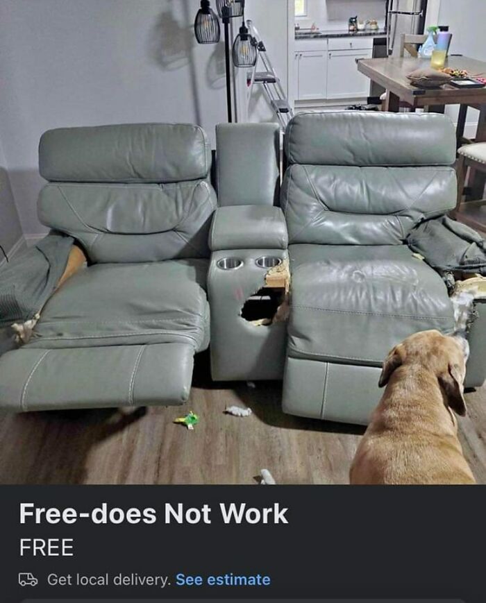 My Theory Is That The Dog Wrecked It And Then Quickly Put It Up For Sale Before Its Owner Got Home