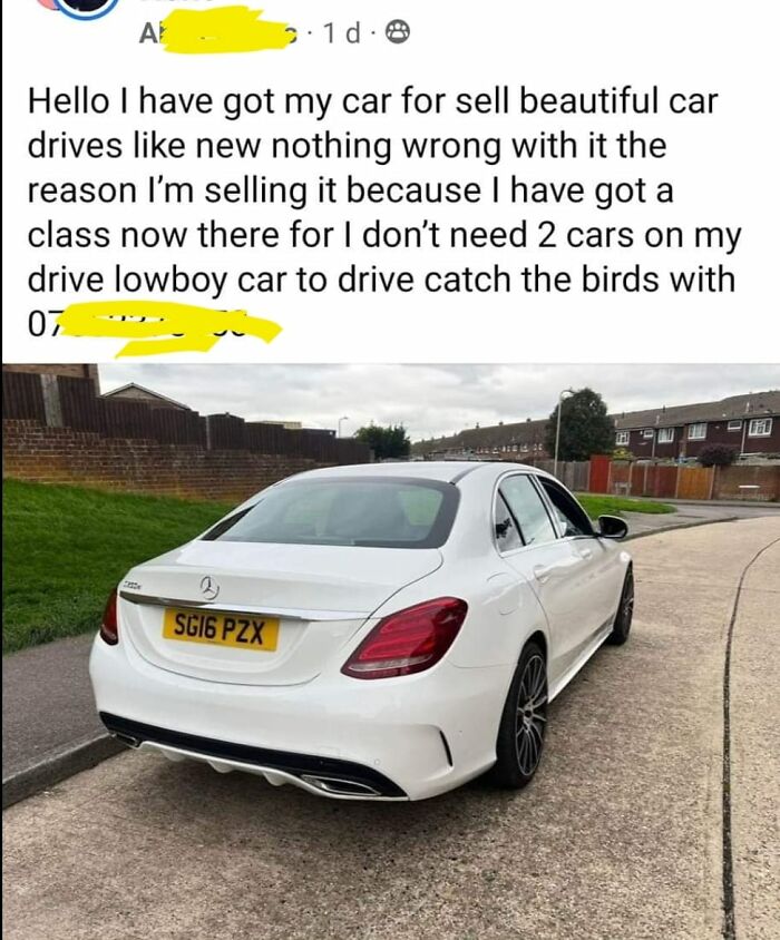 A Lowboy Bird Catching Mercedes. What A Time To Be Alive