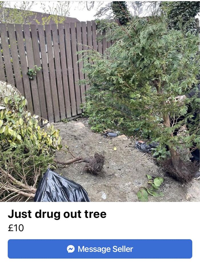 Whoop Whoop! That’s The Sound Of The Police!