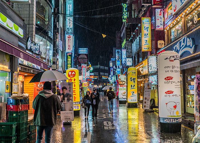 Night street scene with colorful neon signs and people walking in the rain, illustrating unique college courses.