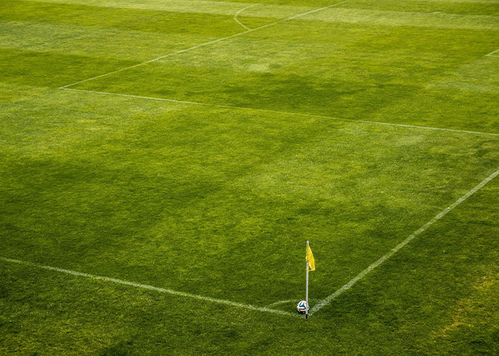 Soccer field corner with ball on grass, illustrating one of the 46 college courses you probably never knew existed.
