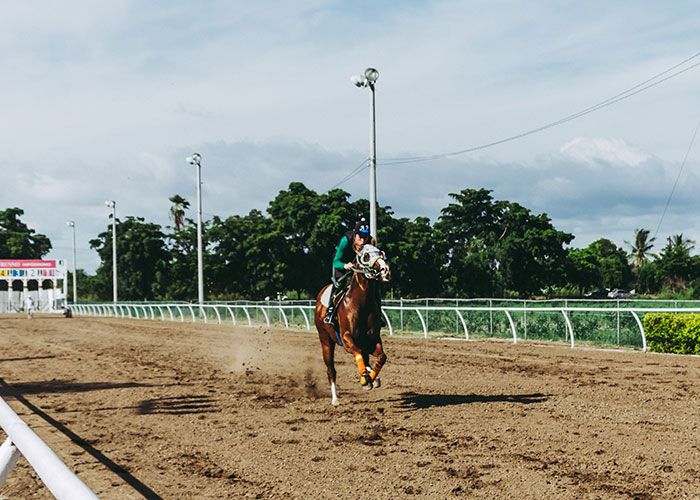 A student riding a horse on a racetrack demonstrating one of the unique college courses in equestrian studies.