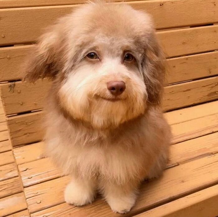 Unpleasant-Images-Facebook