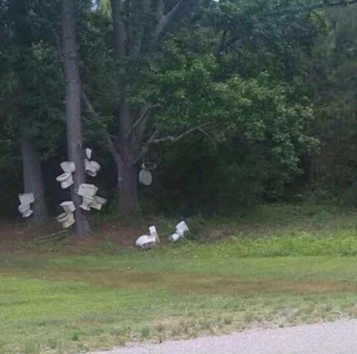 Unpleasant-Images-Facebook