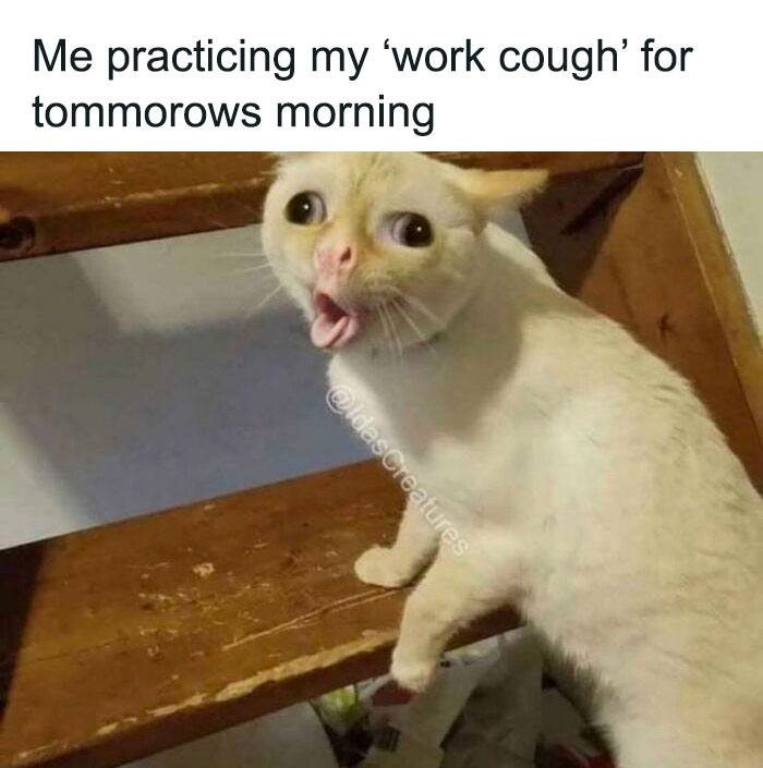 Cat practicing a funny "work cough" for Monday morning.