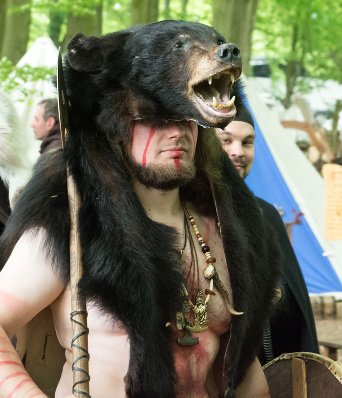 Man dressed in Viking attire wearing a bear pelt and holding a spear during a historical reenactment event