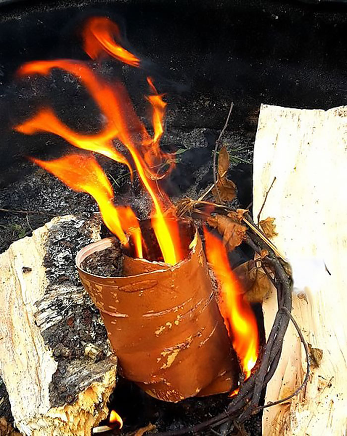 Bright orange flames rising from a rustic fire, symbolizing Viking survival techniques and ancient fire-making facts.