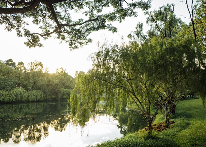 “Cases And Cases Of Gummy Bears In His Basement”: 30 Of The Wildest Things People Have Seen While Working For The Ultra Wealthy