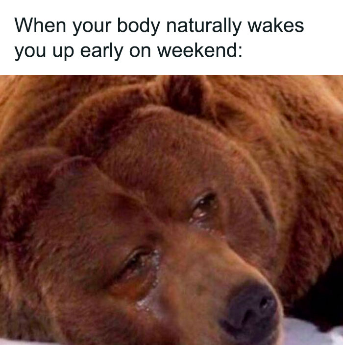 A bear looking tired with text about waking up early on weekends, highlighting witty weekend memes.