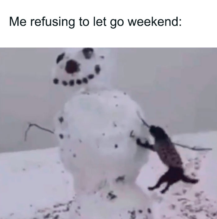 Weekend Memes