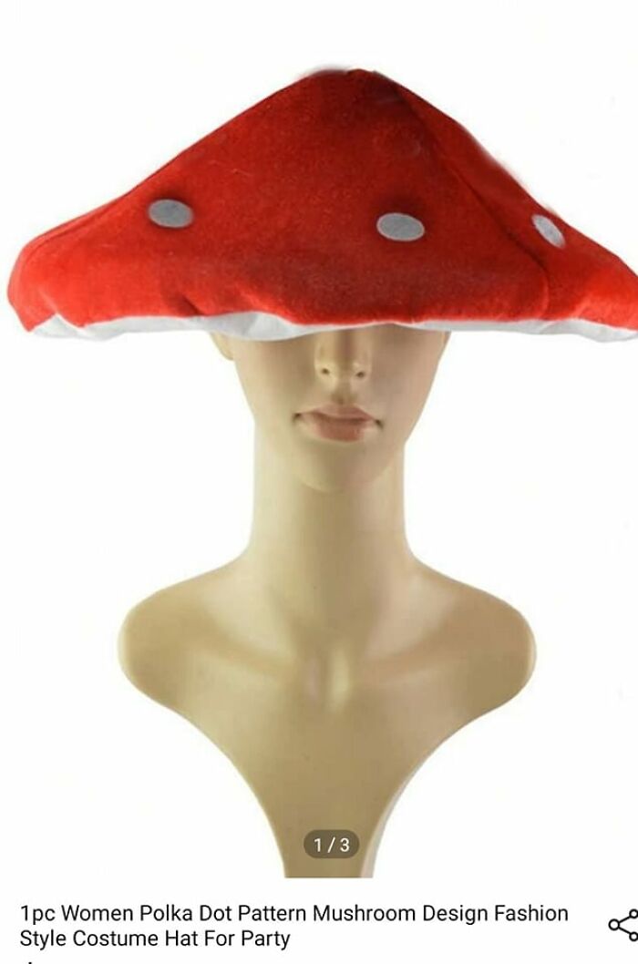 Shein Does Not Disappoint