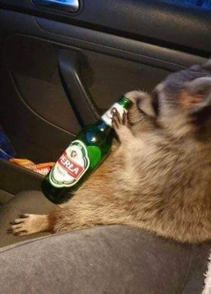 Weird-Funny-Polish-Profiles-Pics