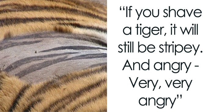 35 Of The Weirdest, Maybe Useless, But Interesting Facts To Know, Shared In This Online Thread