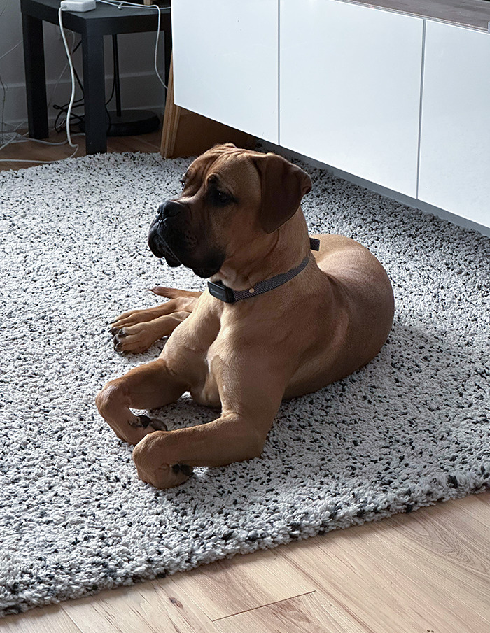 He’s Such A Distinguished Gentleman