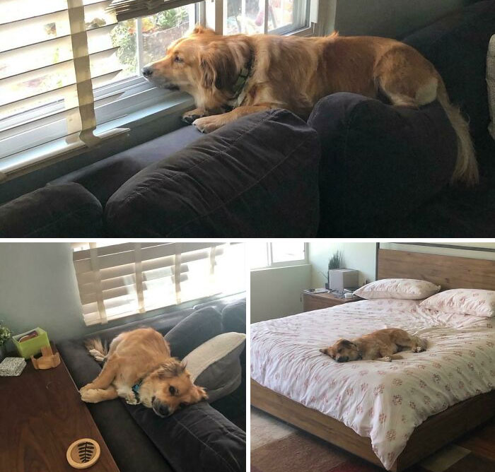 My Wife Went To Work For The First Time In 3 Months. No Words Are Needed