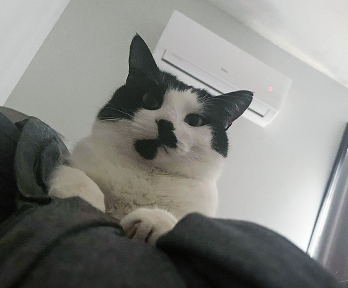 I Normally Feed Him At 5:30am. It Was 5:35am And I Was Still In Bed So I Got This Look