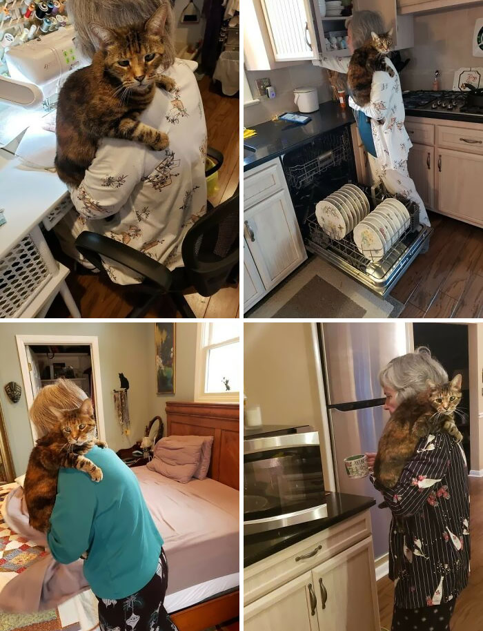 Good Thing Mom Has Milly Around To Help With All The Things