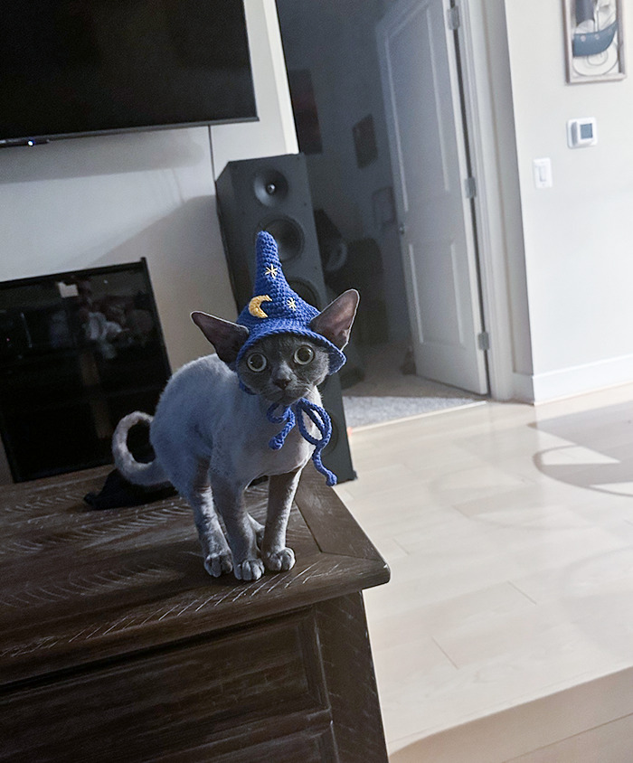 My Own Little House Elf