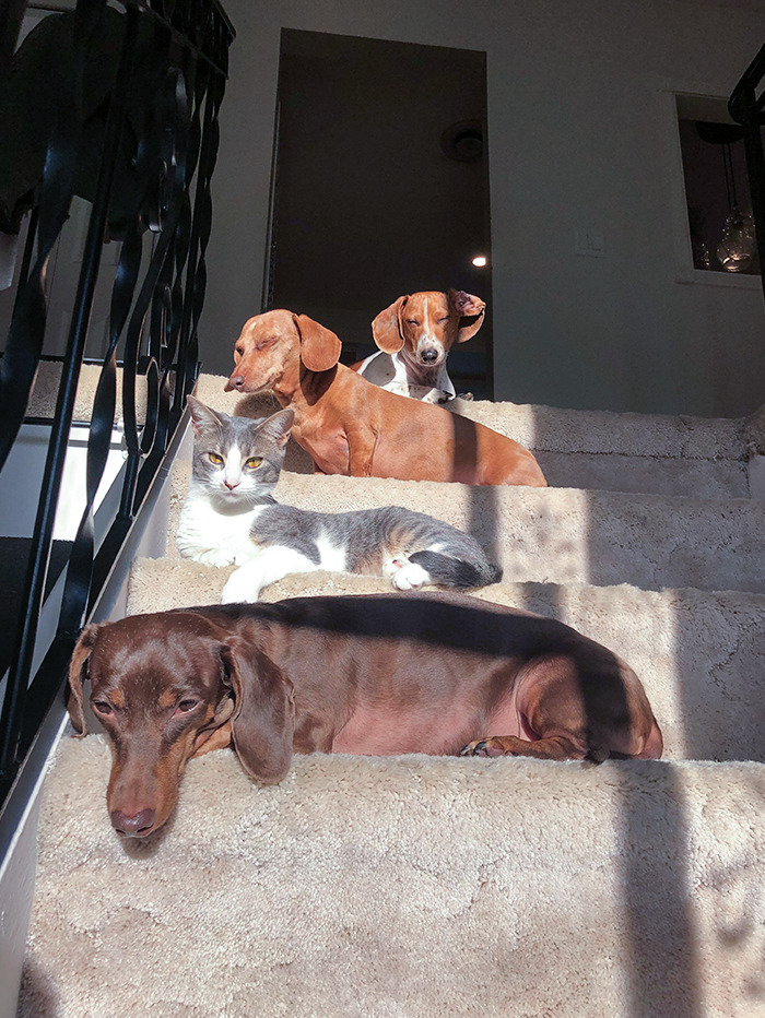 Trying To Come Up With A Band Name And Album Title For This Super Group