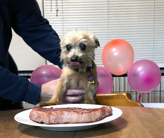 Annie Turns 15 And Gets A Steak