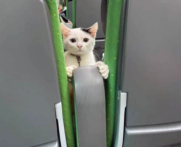 Put Your Shoes Back On, Please