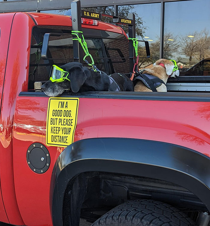 Living Their Best Life