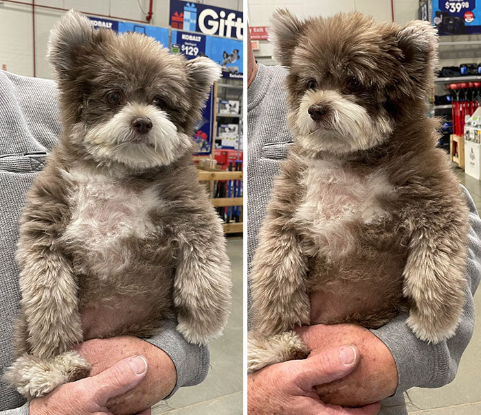 I Met This Adorable Guy Today. Cuteness Overload