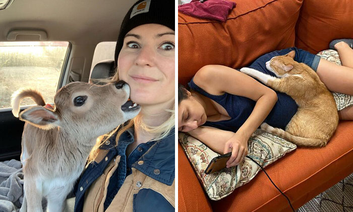 50 Uplifting Photos That Prove We Don’t Deserve Animals (New Pics)