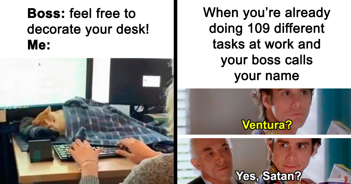 Work And Adult Life: 43 Funny And Relatable Memes And Online Posts | Bored Panda