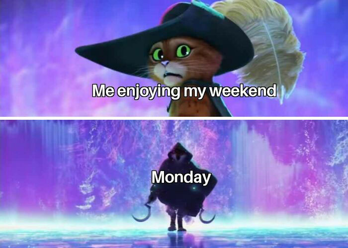 Meme with a cat enjoying the weekend, followed by a dramatic Monday scene.