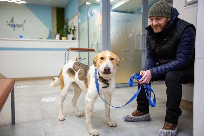 Marusya Was Hit By A Train, But She Survived And Is Currently In Search For A New Home