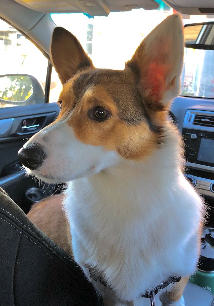 “I’m So Good Lookin’, It’s Weird!”