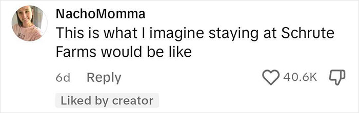 User comment on social media post about woman going viral for sharing notes with Airbnb rules covering the space.